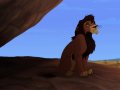 kovu.jpg